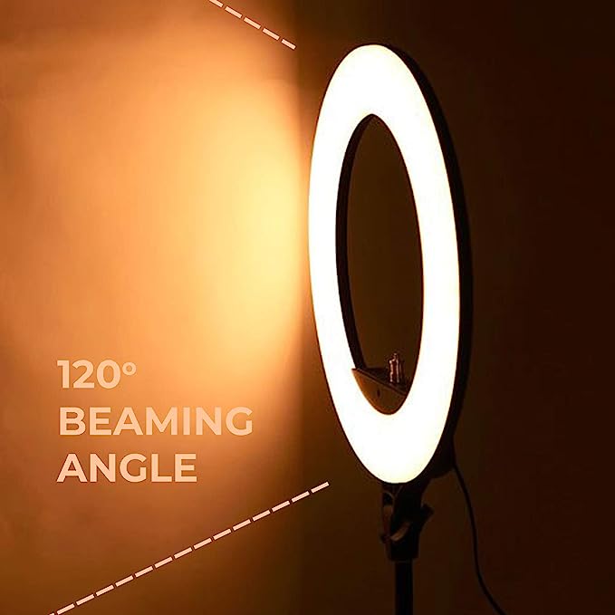 Buy THE GüD COMPANY: The Perfect 5-inch Portable Ring Light with Stand,  Premium Photo and Video Lighting for tiktok Influencer, 5 Dimmable Light  Modes, Black (5-Inch) Online at Lowest Price Ever in